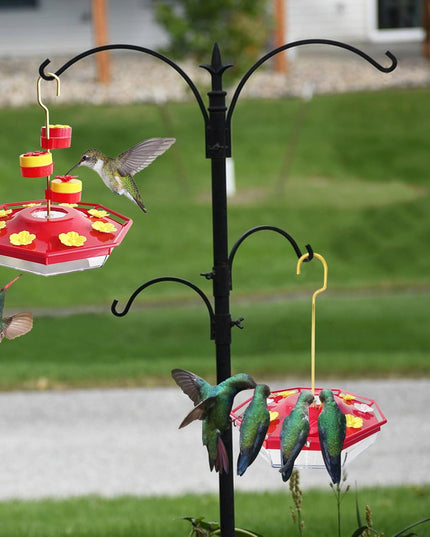 Sweety Hummingbird Feeder - Libiyi