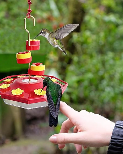 Sweety Hummingbird Feeder - Libiyi