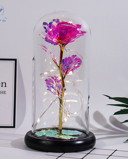 Fanyil Eternal Rose-fr - Libiyi