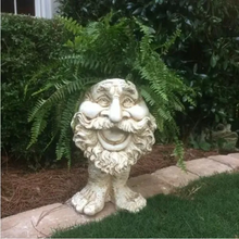 Load image into Gallery viewer, Fanyil Joy Planter