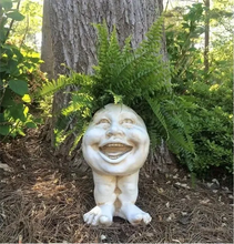 Load image into Gallery viewer, Fanyil Joy Planter