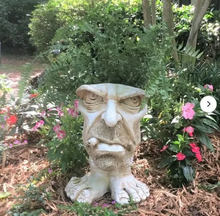 Load image into Gallery viewer, Fanyil Joy Planter