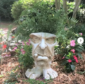 Fanyil Joy Planter