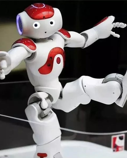 Libiyi LearnioBot - Libiyi