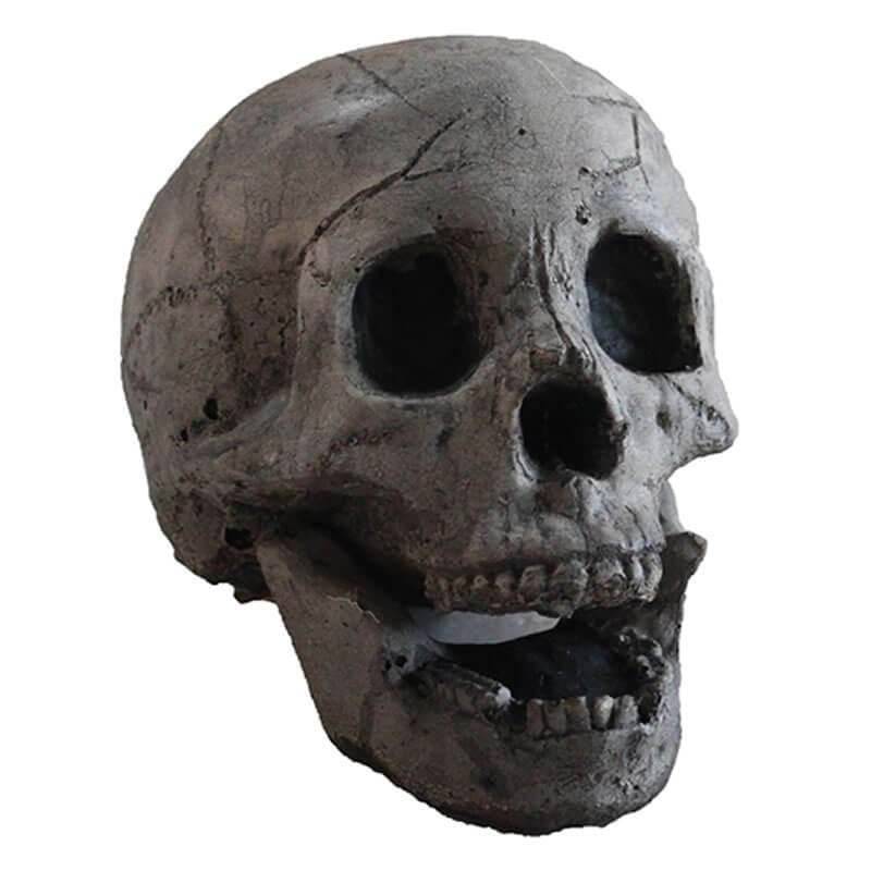 Halloween Fire Pit Skulls - Libiyi