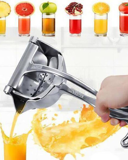Stainless Steel Juicer - Libiyi