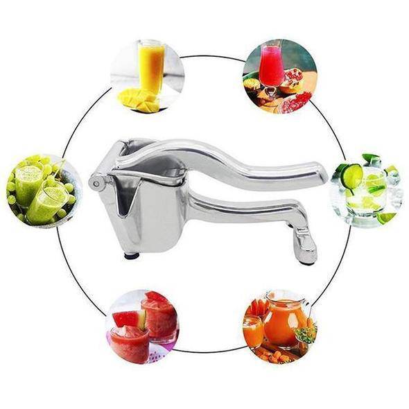 Stainless Steel Juicer - Libiyi