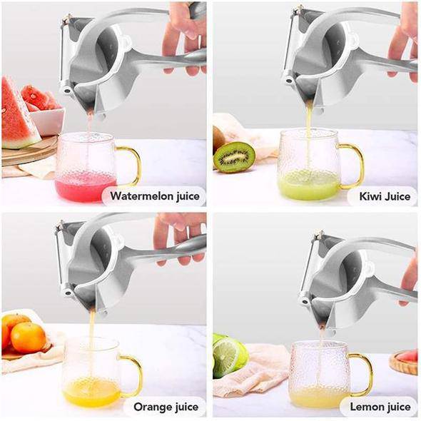 Stainless Steel Juicer - Libiyi