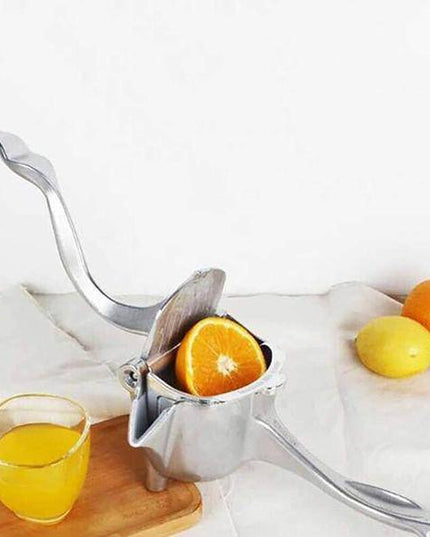 Stainless Steel Juicer - Libiyi