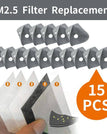 Filtres PM2.5 (15PCS) -39% de réduction